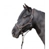 HKM  Halfter -Crystal Fashion-, weich unterlegt